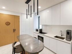 Peak Residence (D11), Condominium #557930031